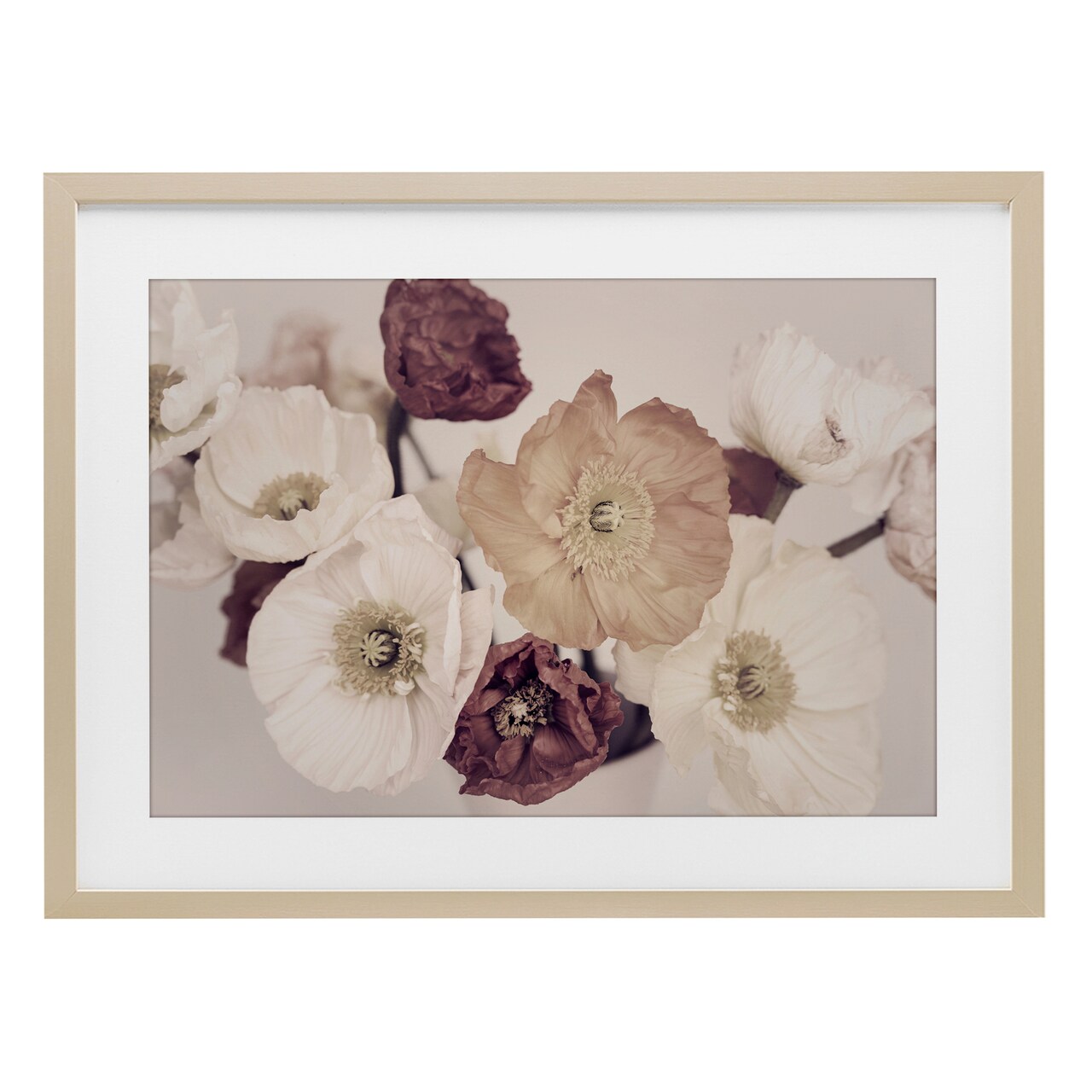 Stupell Industries Open Blooms Maroon Florals Framed Print Under Glass, design by Sisi and Seb